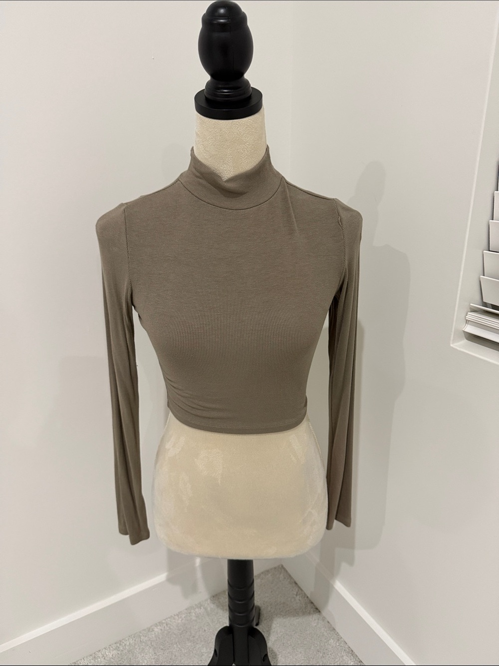 Mock Neck Long Sleeve Crop Top in Taupe